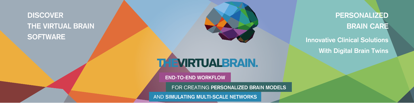 The Virtual Brain 263