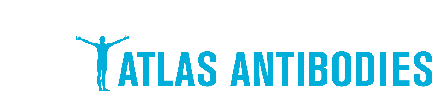 Atlas Antibodies 293