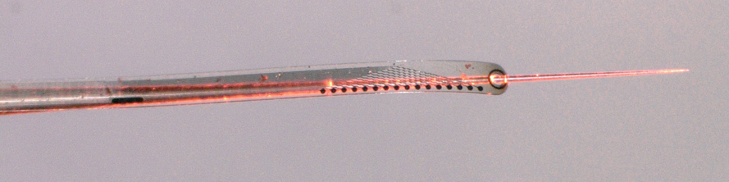 ATLAS Neuro 227