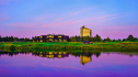 MI-ACP and MI-SHM 2025 Annual Scientific Meeting 2596