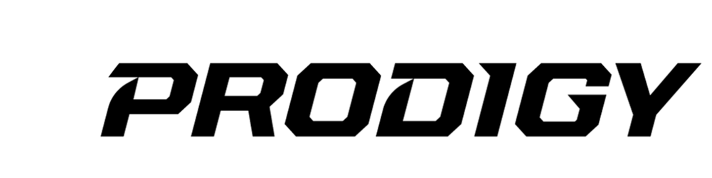 Prodigy Disc Inc. 330
