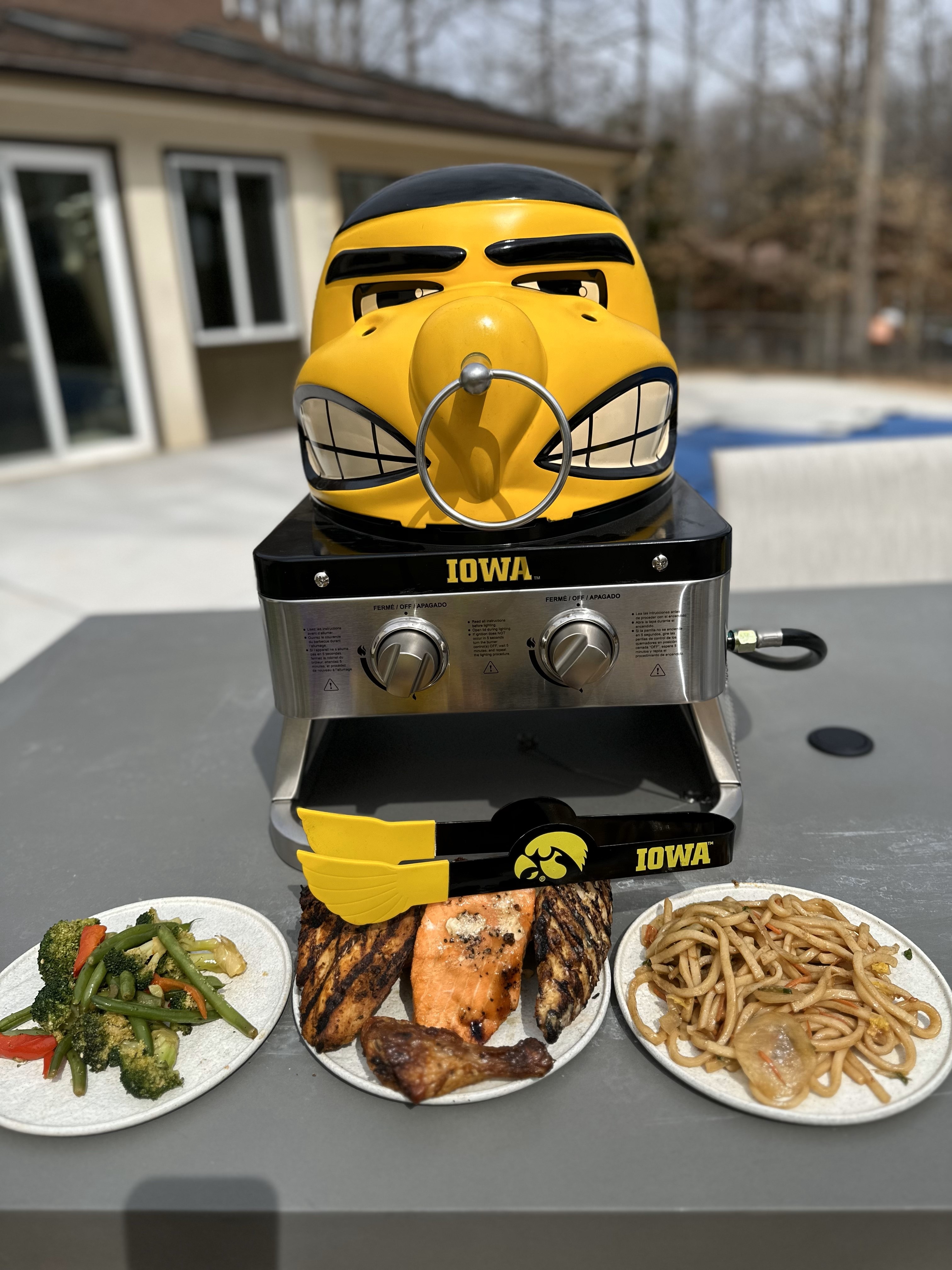 Iowa Hawkeye Portable Gas Grill 25