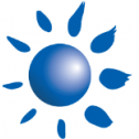 Pulsar Informatics, Inc. 19