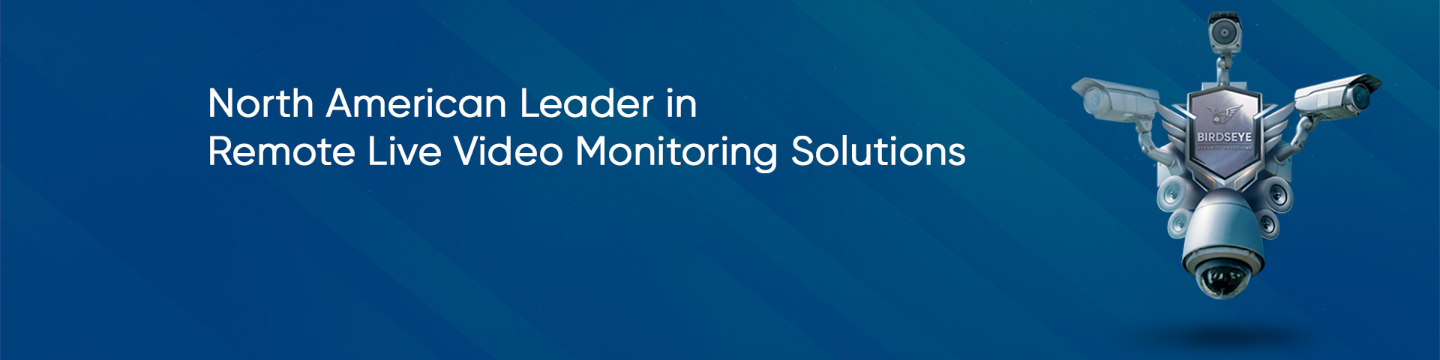 Birdseye Security Solutions 40