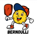 Bernoulli LLC 291