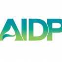 AIDP Inc. 45