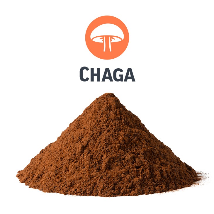 Organic Chaga Mushroom Extract by AFS 207