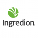 Ingredion Plant-Based Protein Specialties 1490