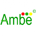 Ambe Phytoextracts Pvt., Ltd. 537