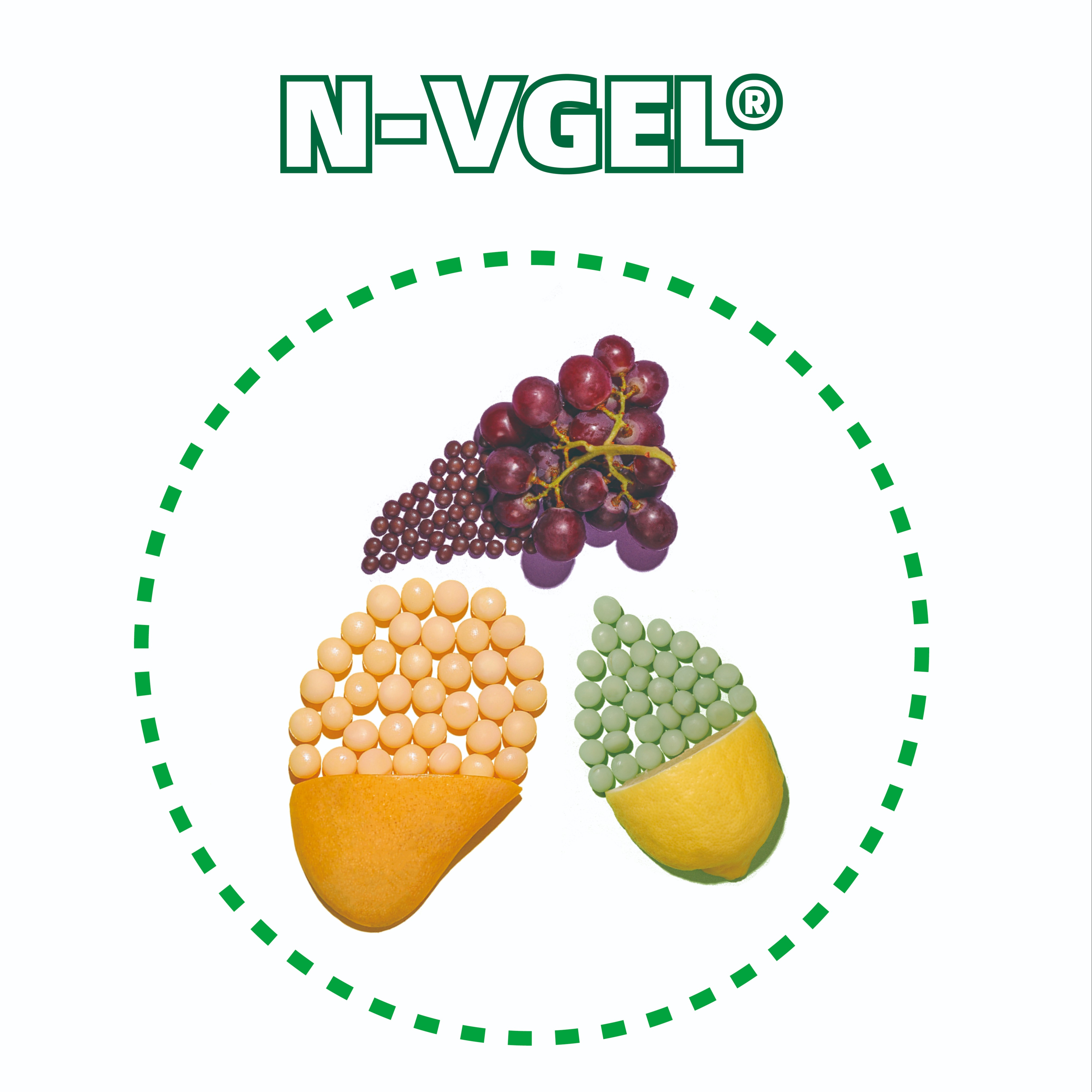 N-VGEL（Starch for softgels） 1845