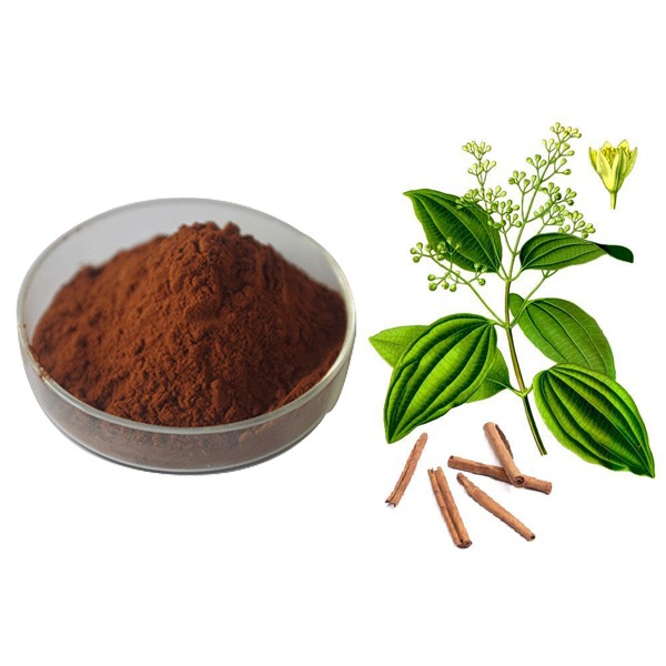 CINNAMON BARK EXTRACT 2300