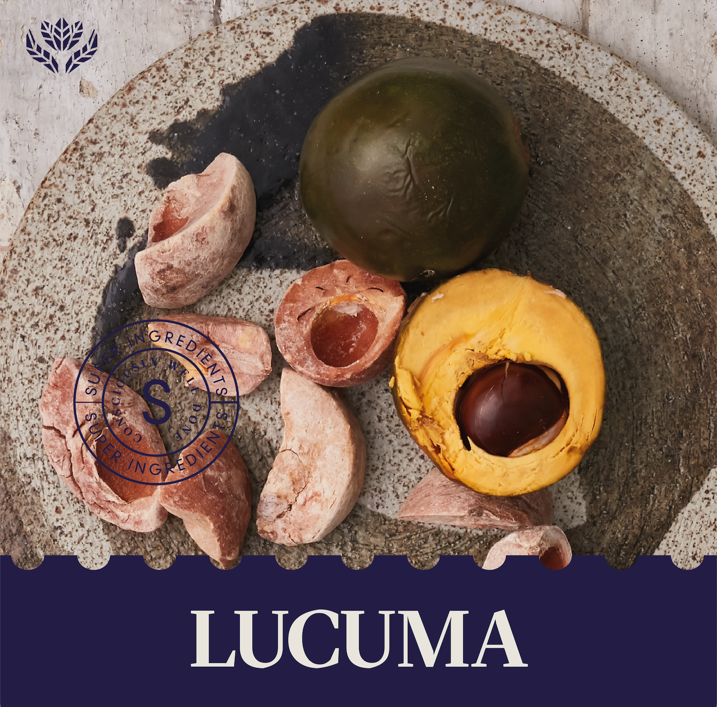 Lucuma 2966