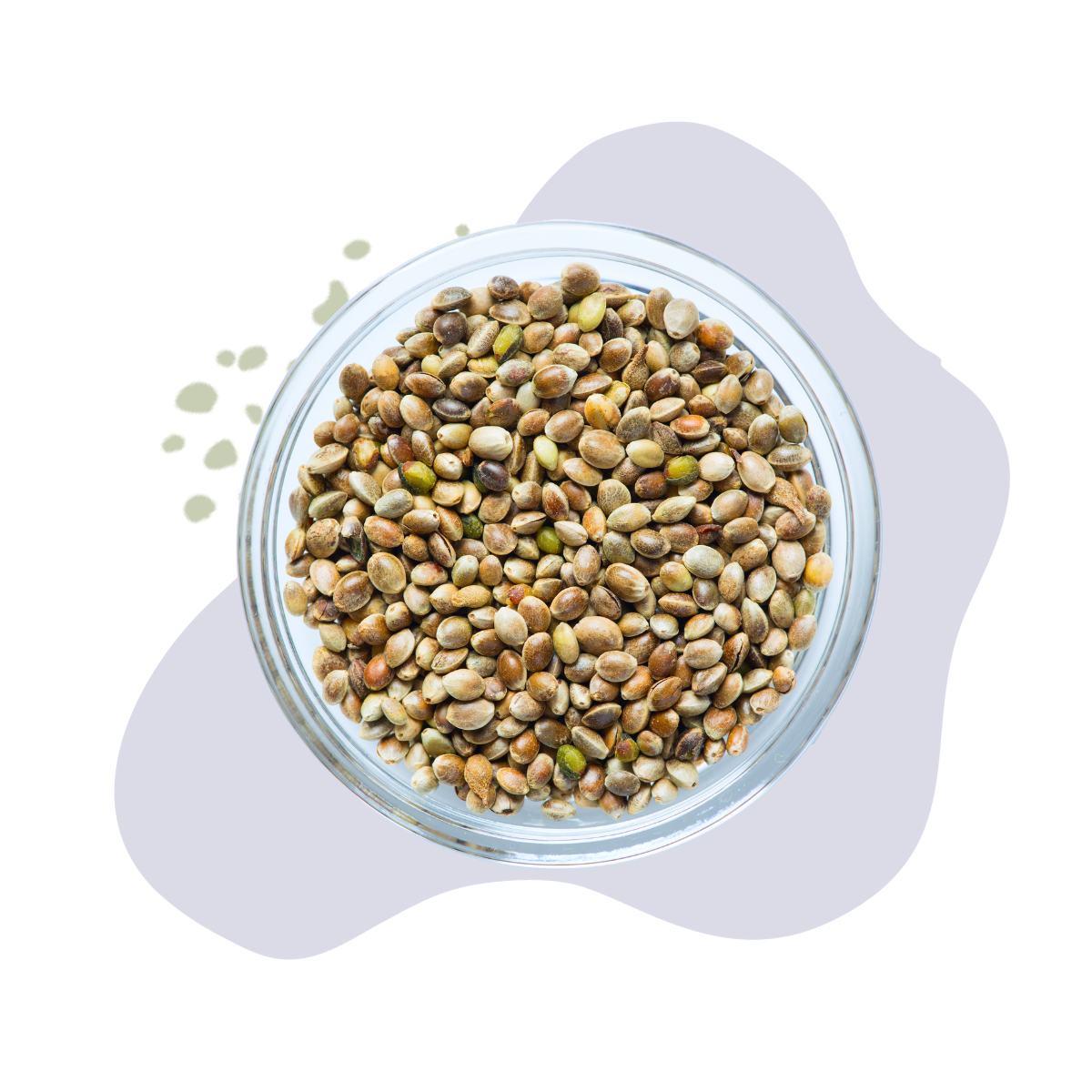 Toasted Hemp Seed 3196