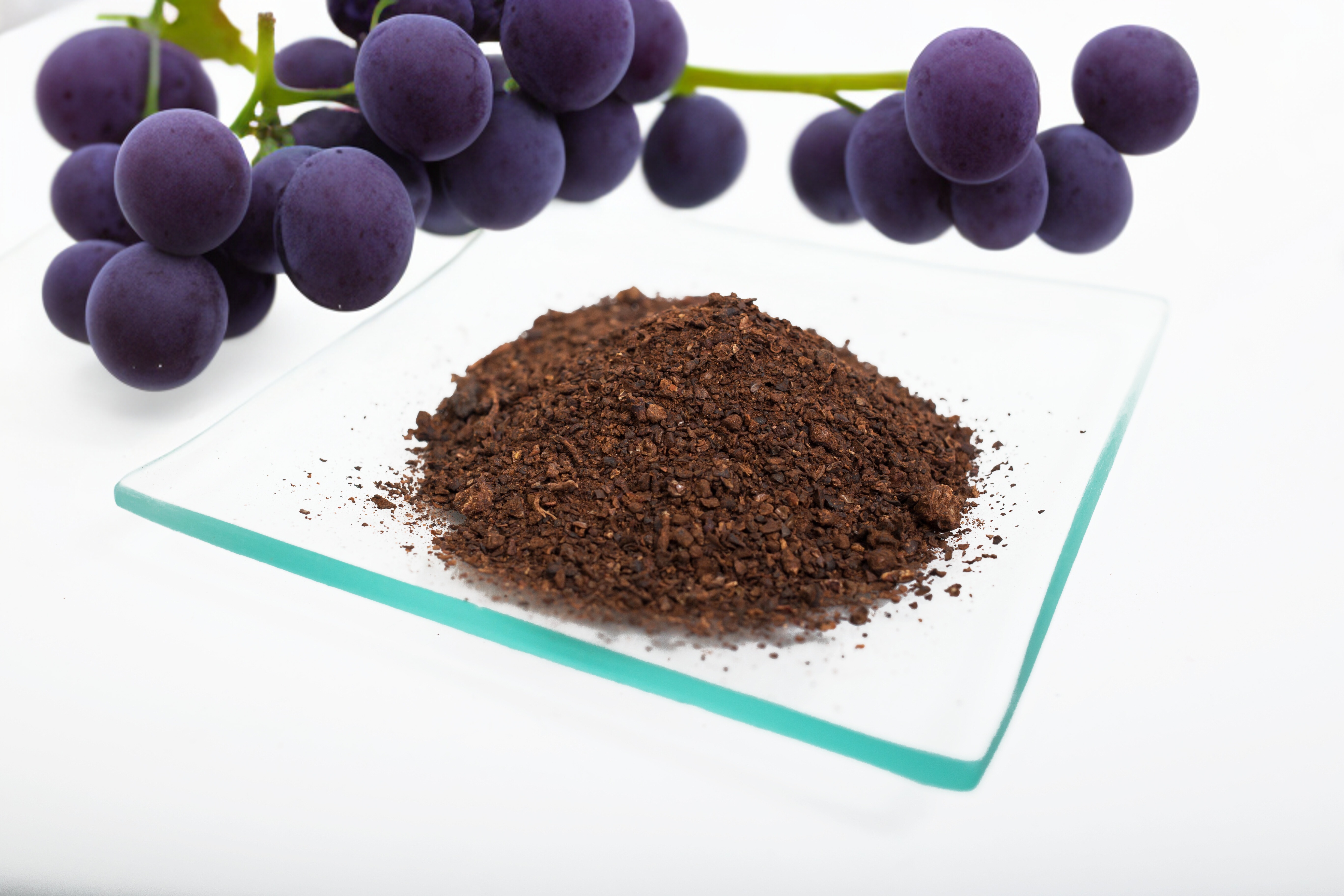 Vintera Grape Extract 3494