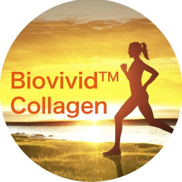 Biovivid™ Collagen Peptide 3505