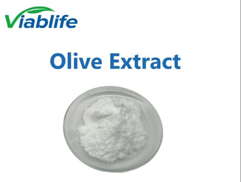 Olive leaf extract 3602