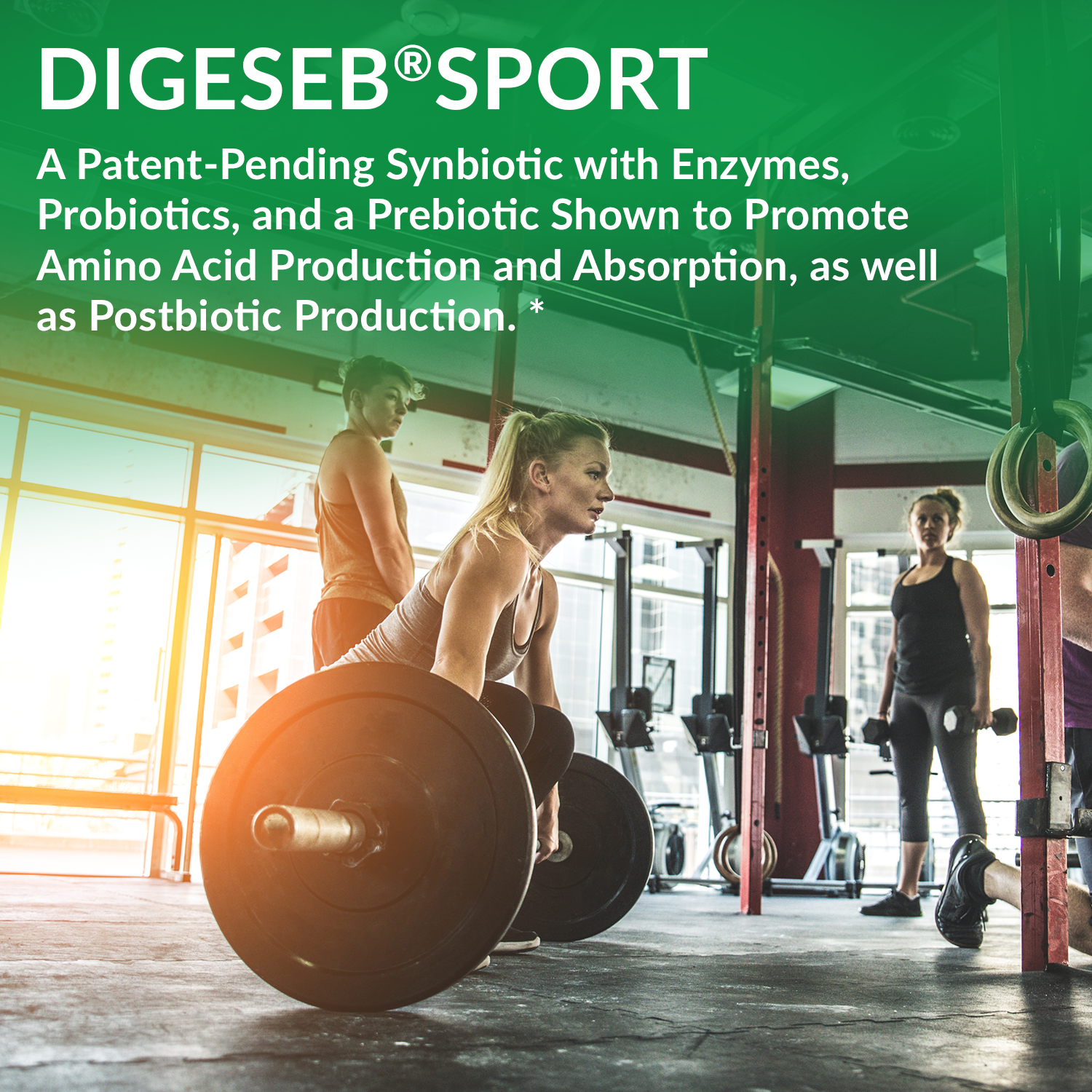 DigeSEB Sport™ 4544