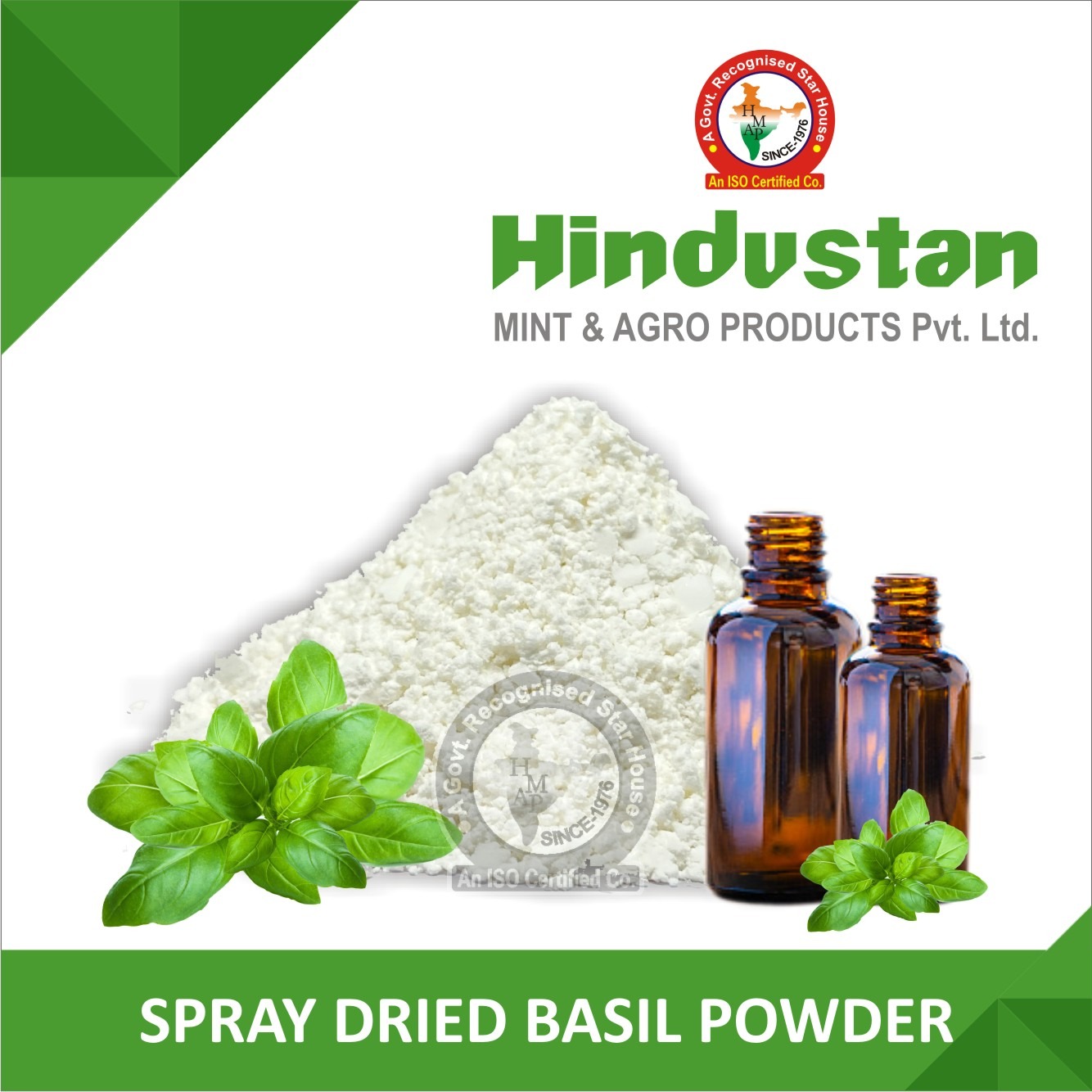 Spray Dried Basil Powder 5573