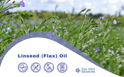 Linseed (Flax) Oil 716