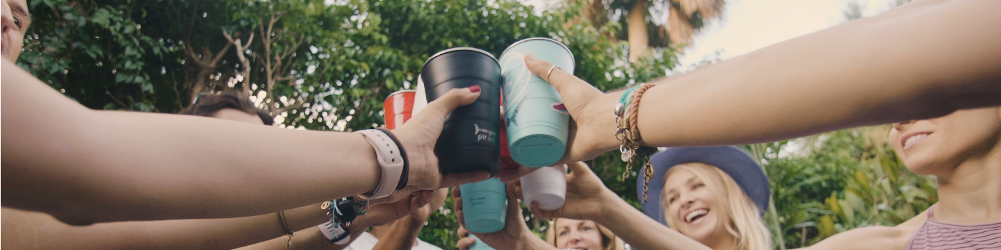 Pirani Life, Inc. 448