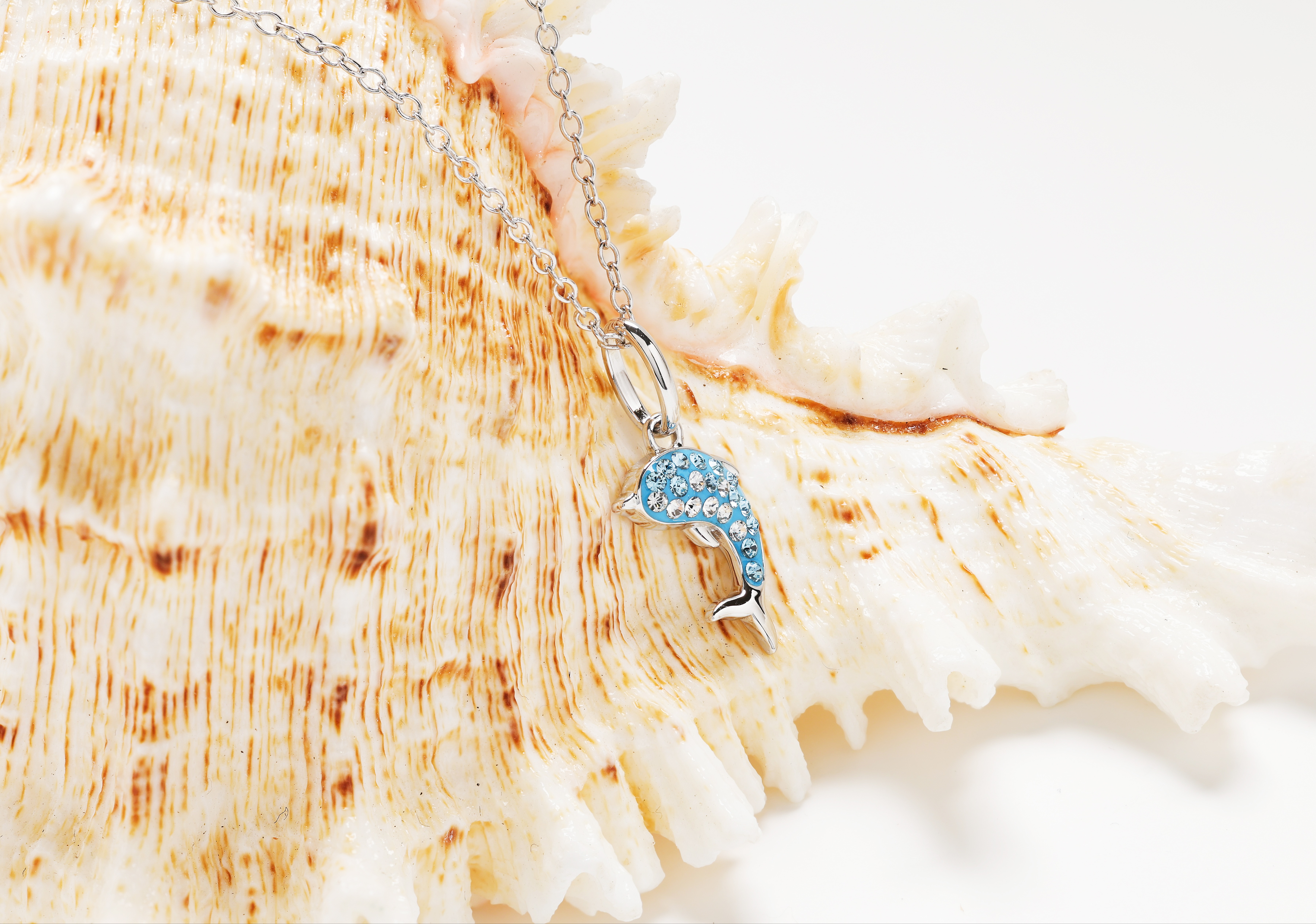 Our Ocean Jewelry Products: Inspired by Sea Life 852