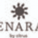 BENARAS BY CITRUS 55