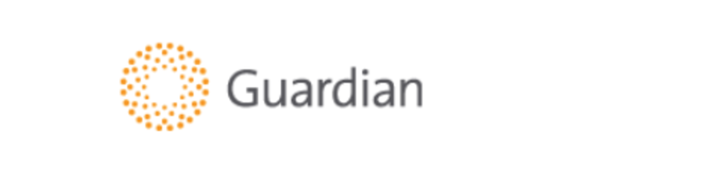 Guardian Equipment 131