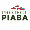 PROJECT PIABA 1034