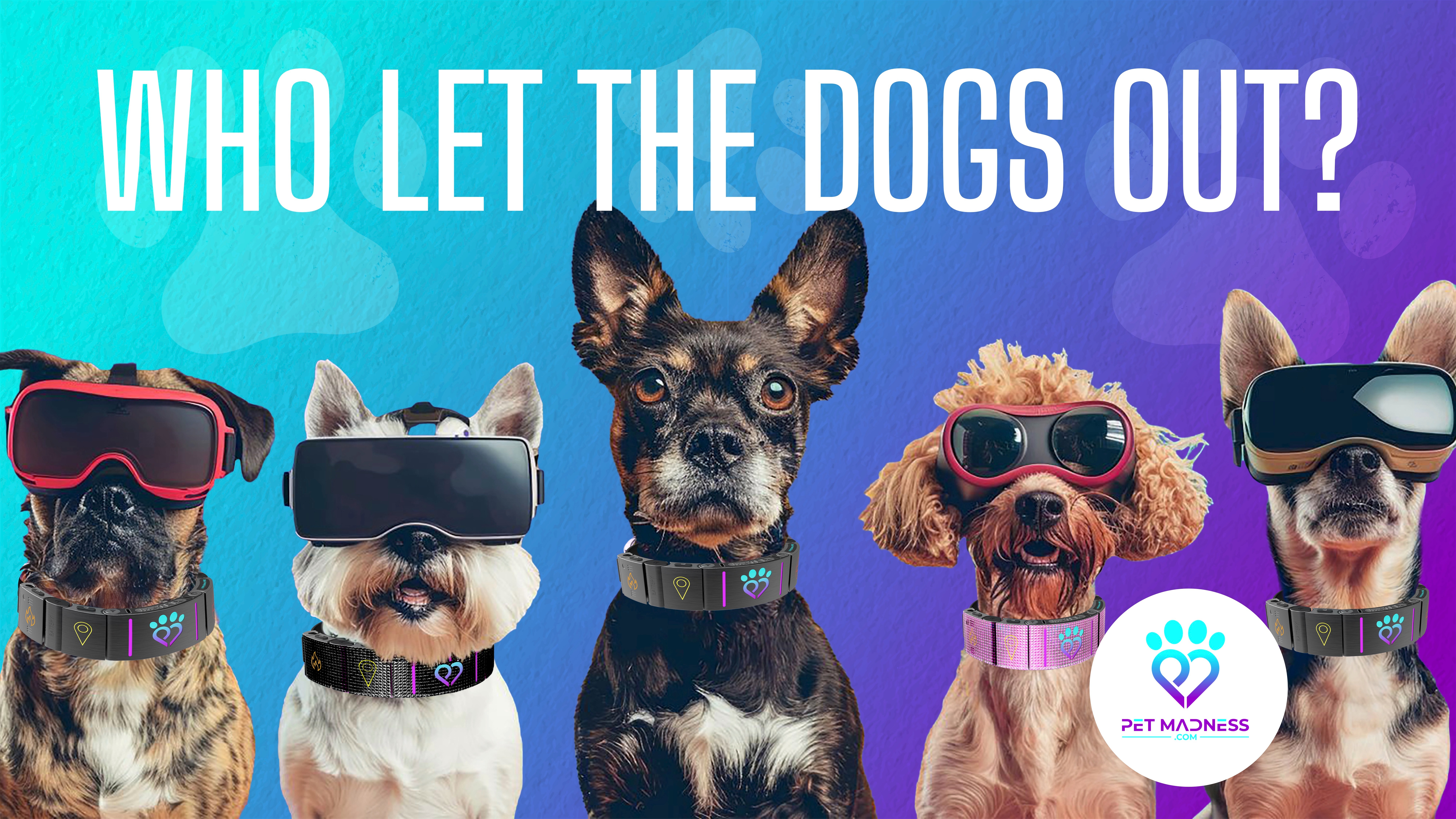 🐶 Woof News Introduces the Future of the Pet Industry Online 1444