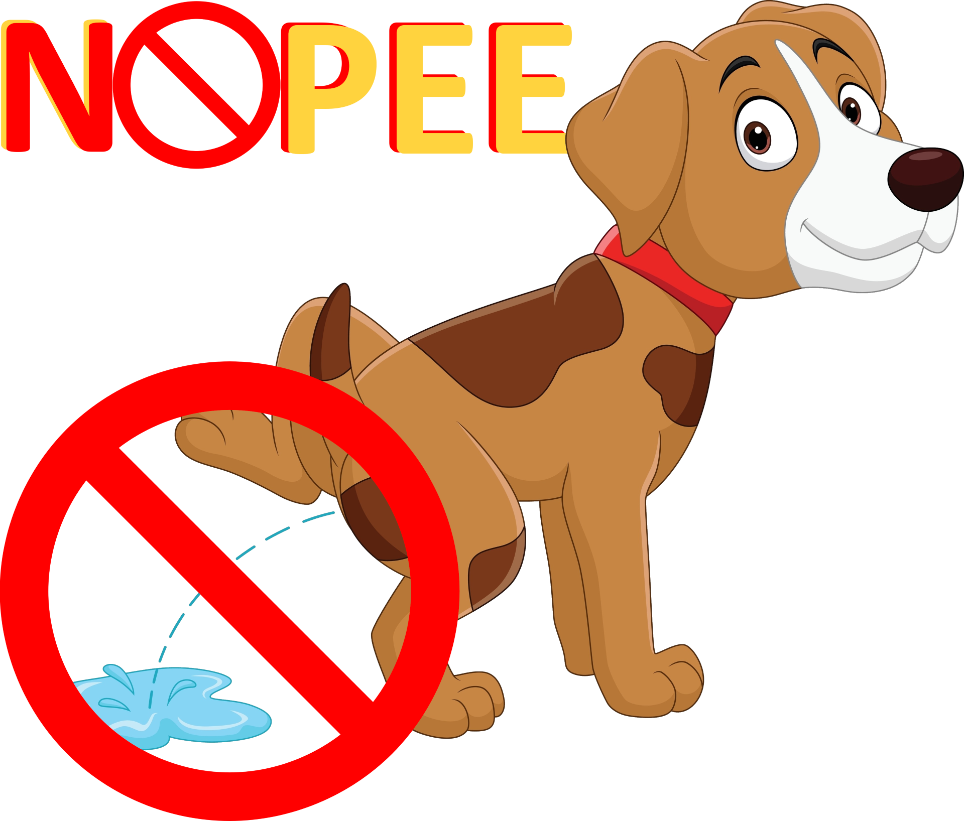 Pitch Deck for NOPEE The ONLY Patented, Permanent Solution for Indoor Dog Marking 165