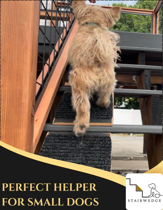 StairWedge Is Elevating Pet Stair Experiences into a Safe and Mobile New Setting 270