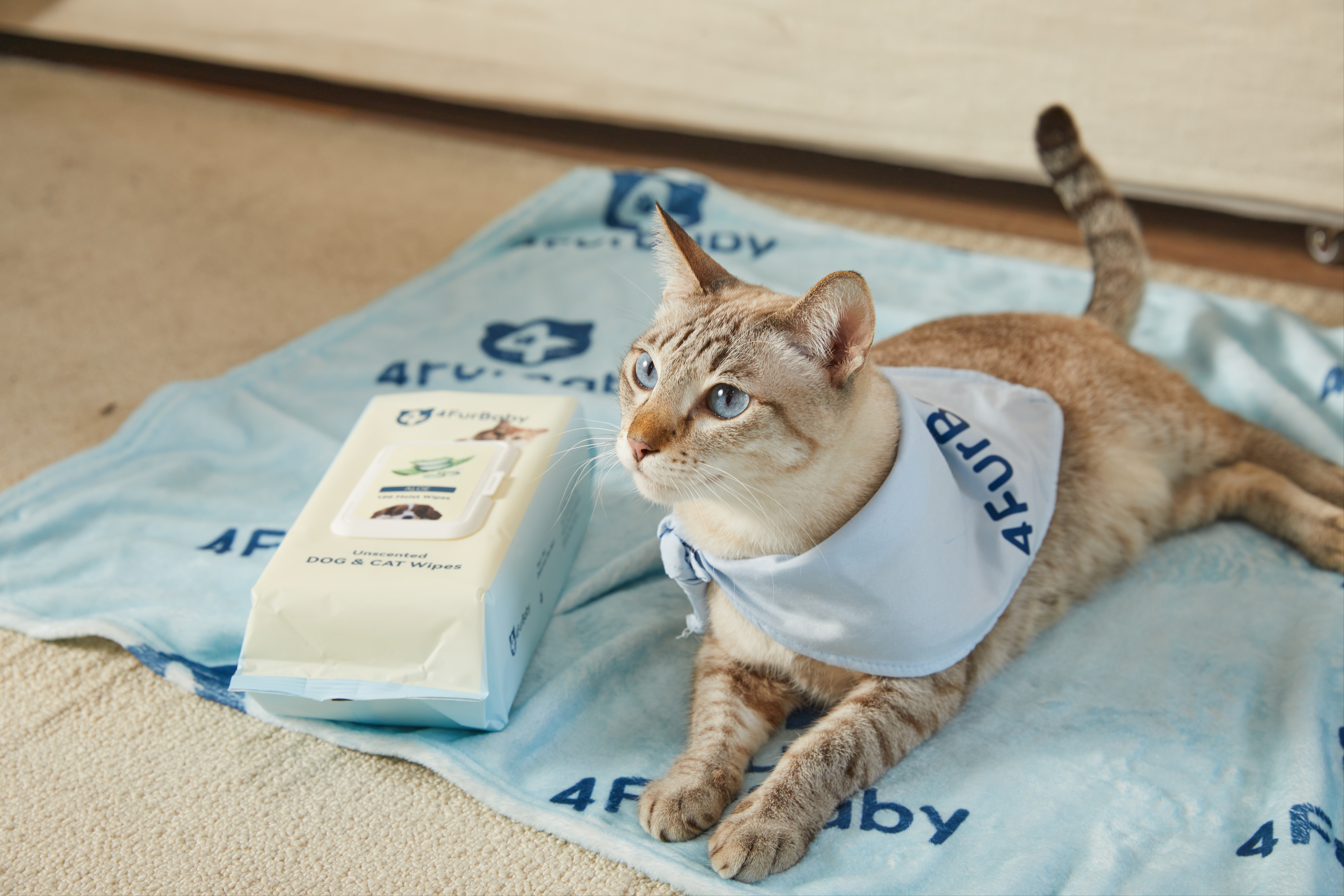 How to Remove Fleas from Pets 🐾 343