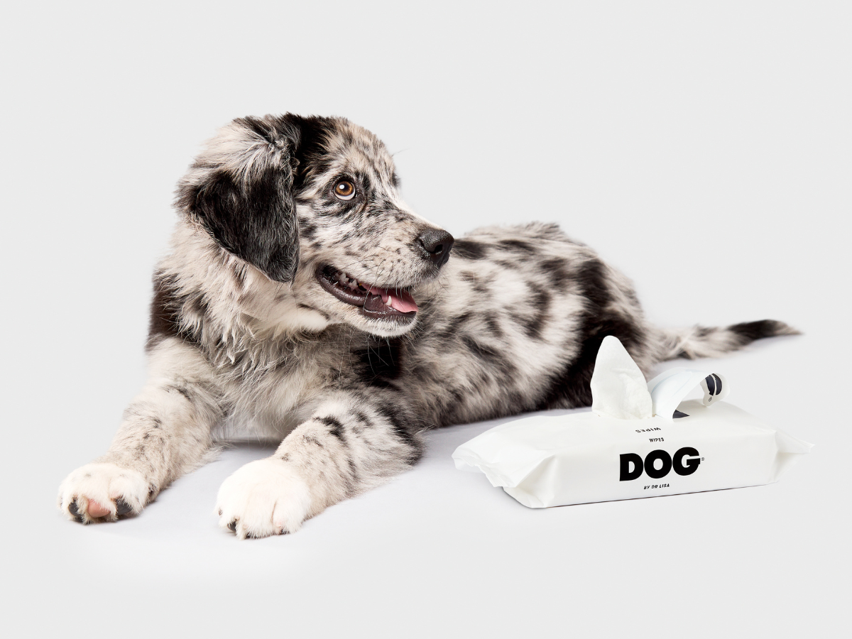 DOG Wipes 483