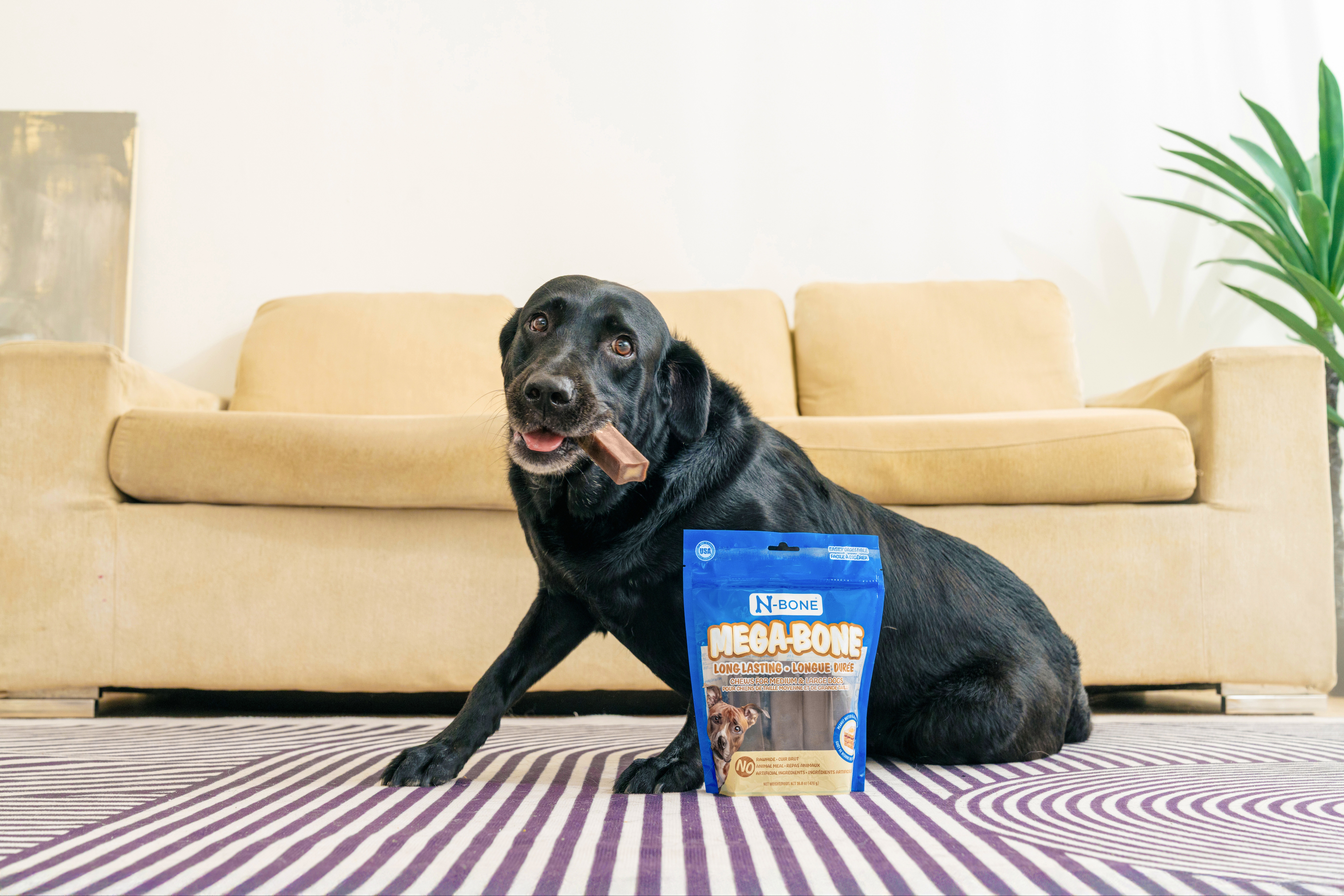 N-Bone® Mega-Bone Long-Lasting Chew 528