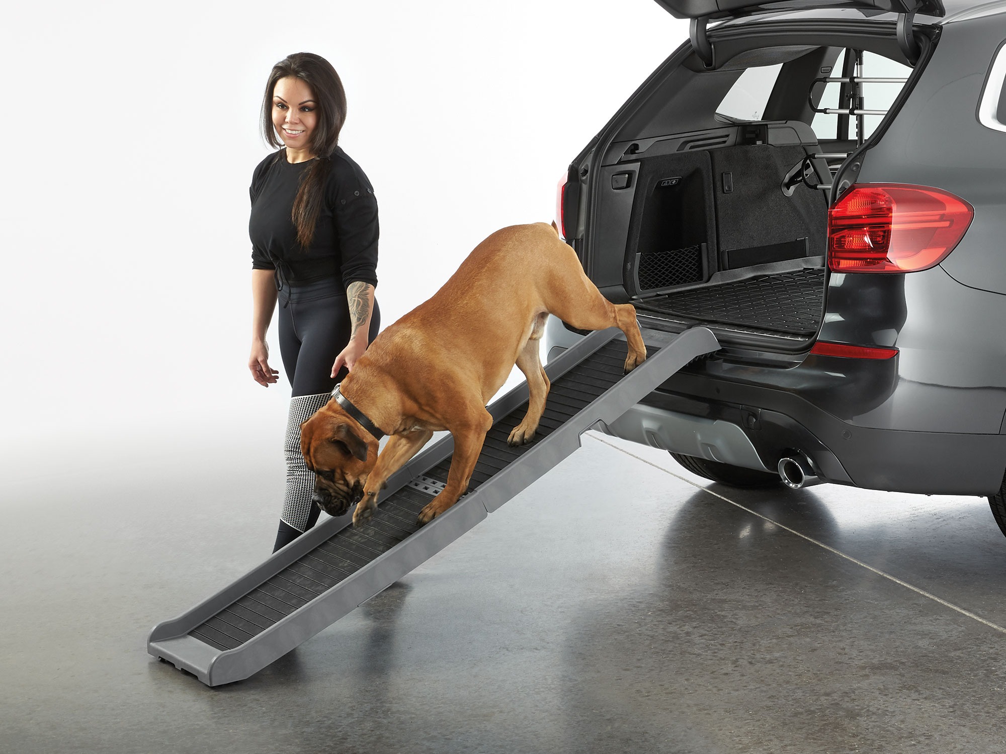 Pet Ramp 698