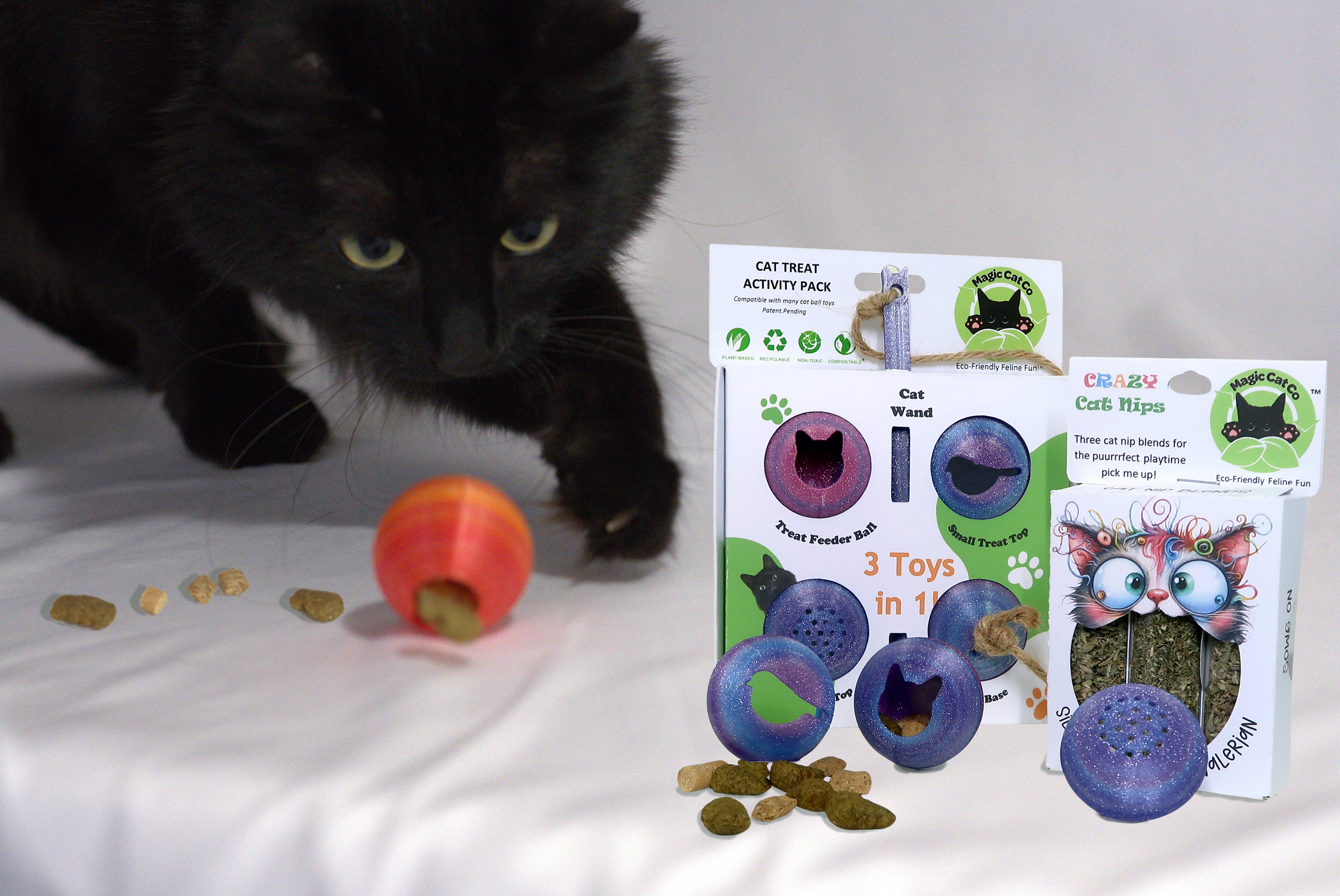 Cat Treat Activity Pack 798