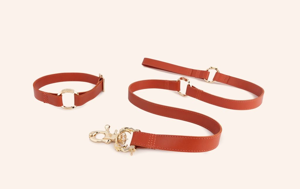Evo Legacy Leash and Collar System 443