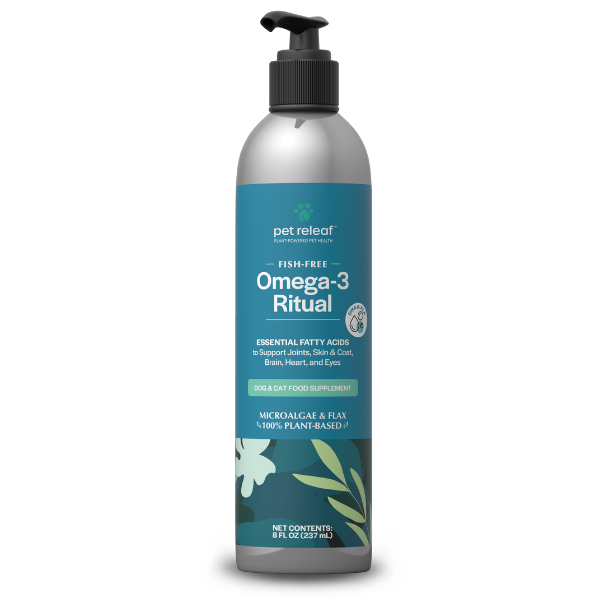 Fish-Free Omega-3 Ritual 618