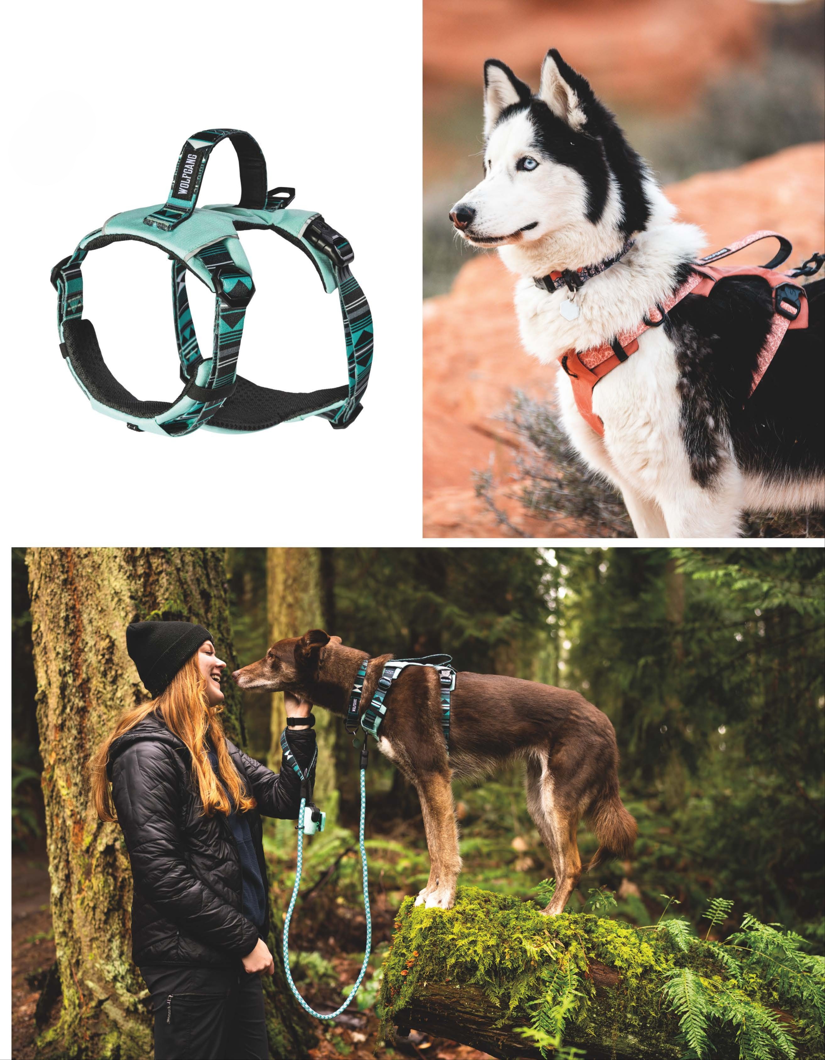 Wolfgang Nebo Harness 725