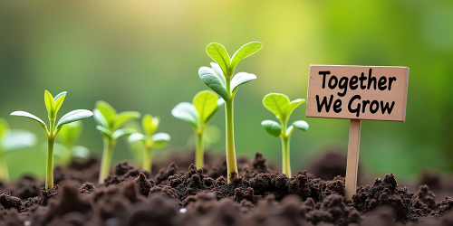 Grow Yourself & Your Team: Five Lessons from the Garden | KC 182