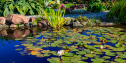 Working with Nature: Sustainable Solutions for Water Management, Wildlife, and Biodiversity | KC 183