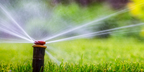 Keep Your Landscapes Growing | Irrigation Do’s and Don’ts When Planning Landscape Designs | KC 190