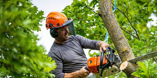 Enhance Your Safety Playbook: It’s All about the Z! | KC 191
