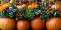 Fall Flair: Containers That Score Big | KC 197