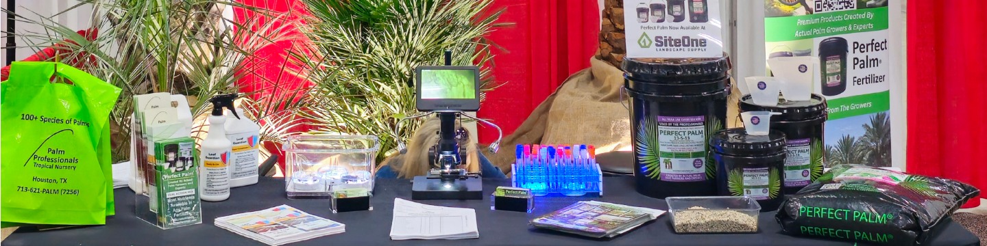 Palm Professionals 376