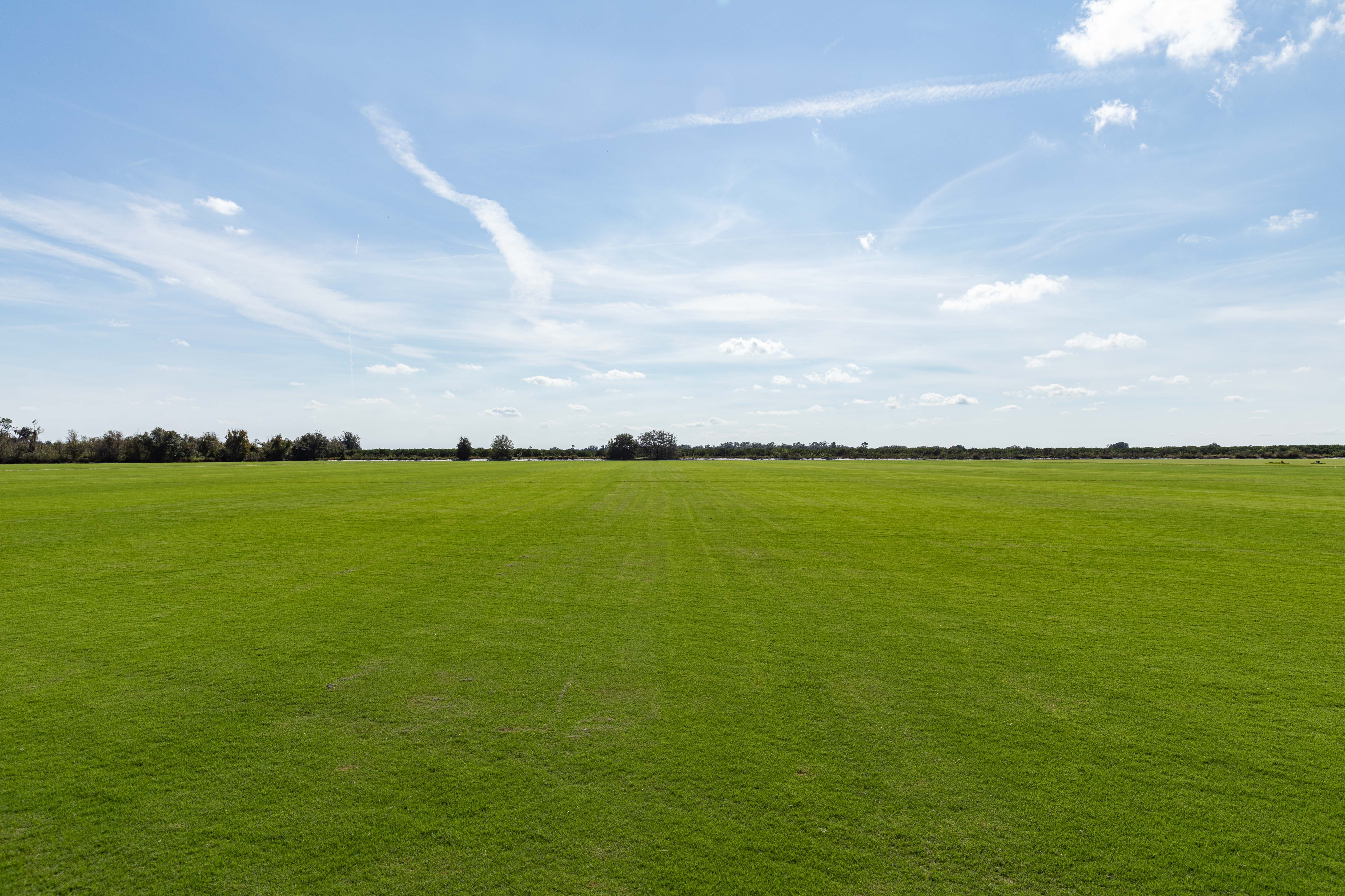 BIMINI®  Bermudagrass Sod 131