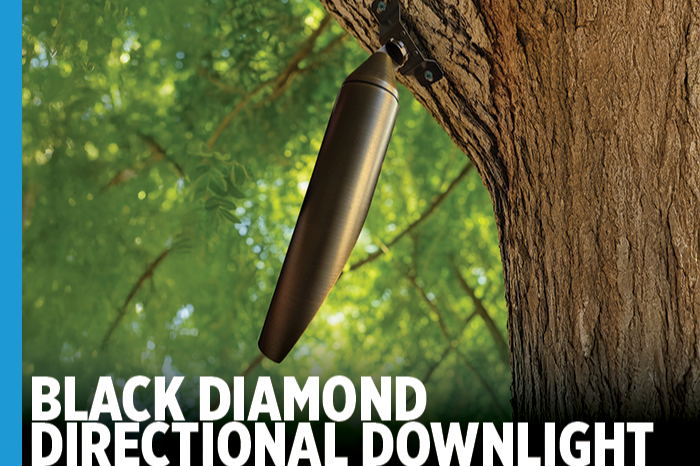 Black Diamond Directional Down Light 45
