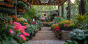 From Garden Center to Must-Visit Destination: The Groovy Plants Story | KC 193