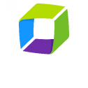 Dynatrace 381