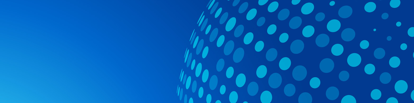 IMPRES Technology Solutions 38